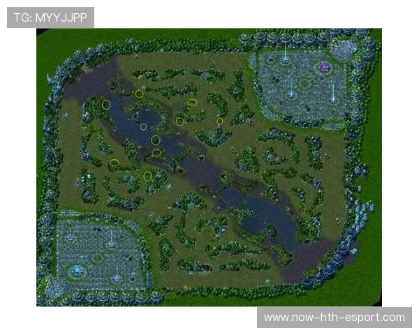 职业比赛中的视野保护逻辑